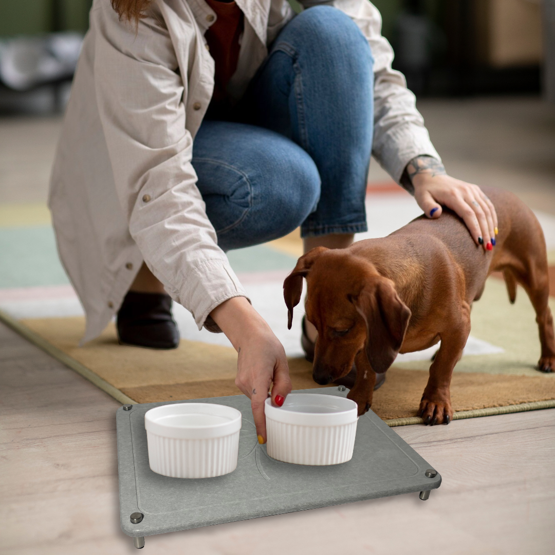 Dog drinks water on the mats